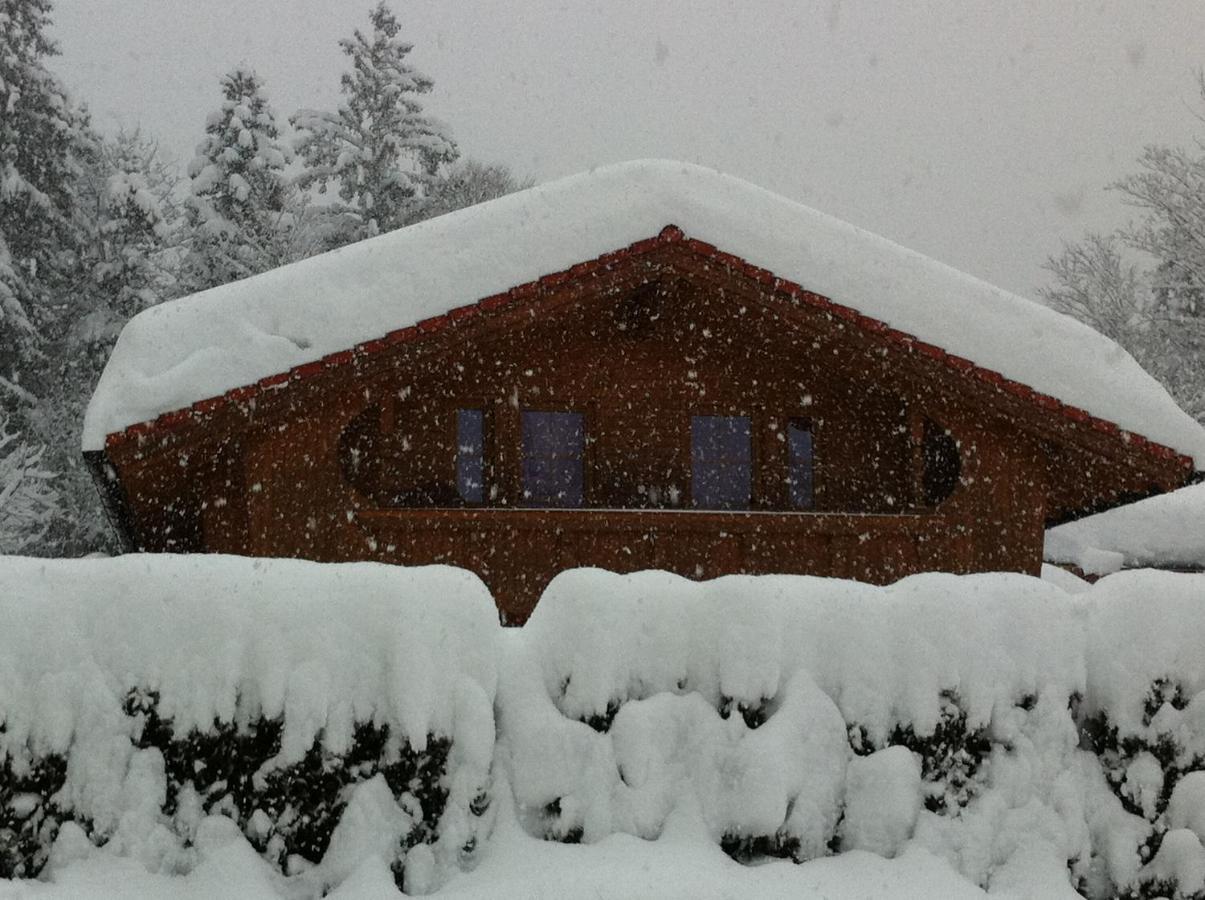 Ferienwohnung Klingler Scheffau am Wilden Kaiser Luaran gambar